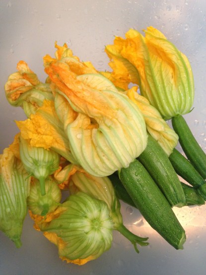 Baby courgettes with their flowers